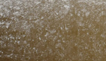 Ancient ice from the ALHIC1902 ice core. Image credit: Shackleton et al., doi: 10.1073/pnas.2502681122.