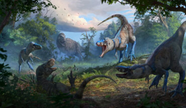 A pack of Nanotyrannus brazenly attacks a juvenile Tyrannosaurus rex. Image credit: Anthony Hutchings.