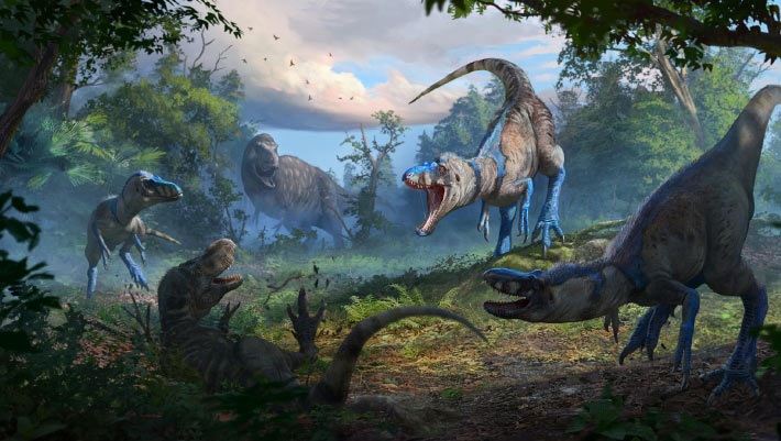Nanotyrannus is Distinct Dinosaur Lineage, New Research Shows