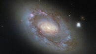 This Hubble image shows NGC 4102, an intermediate spiral galaxy 55.4 million light-years away in the constellation of Ursa Major. Image credit: NASA / ESA / Hubble / G. Fabbiano.