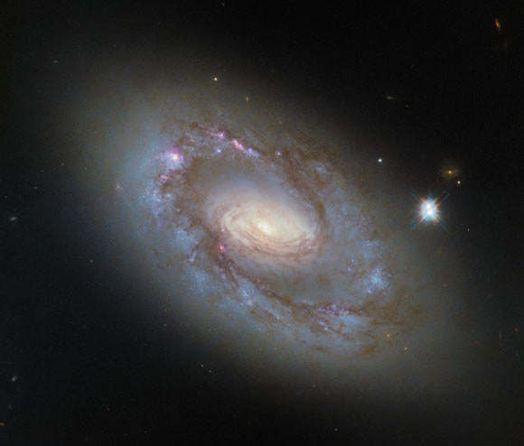 This Hubble image shows NGC 4102, an intermediate spiral galaxy 55.4 million light-years away in the constellation of Ursa Major. Image credit: NASA / ESA / Hubble / G. Fabbiano.
