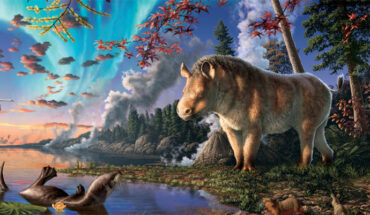 Life restoration of Epiaceratherium itjilik, at its forested lake habitat, Devon Island; the plants and animals shown are based on fossil finds at the site, including the transitional seal species Puijila darwini. Image credit: Julius Csotonyi.