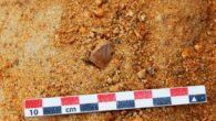 The 2.58-million-year-old stone tool from the site of Namorotukunan in Kenya. Image credit: Braun et al., doi: 10.1038/s41467-025-64244-x.