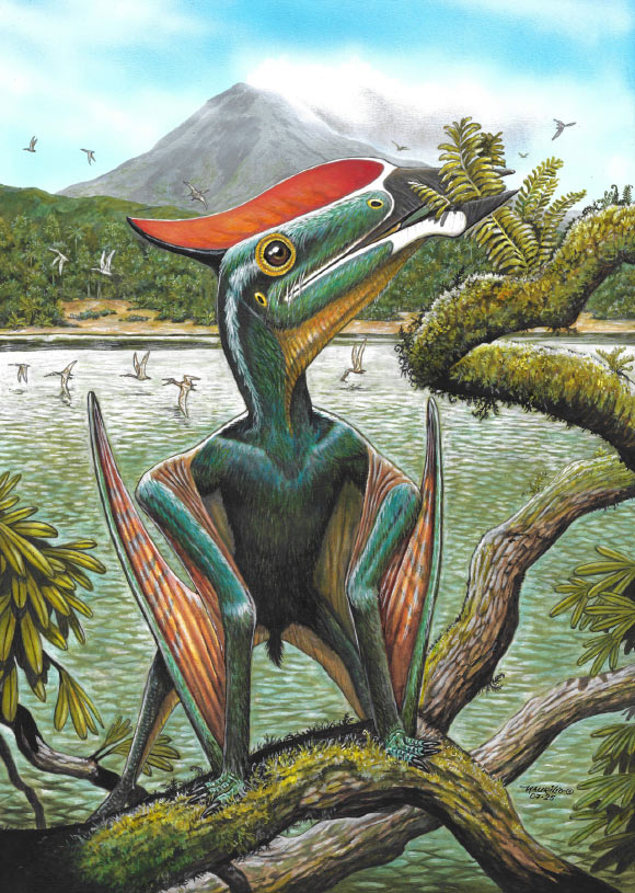 Life reconstruction of Sinopterus atavismus. Image credit: Maurilio Oliveira / Science China Press.