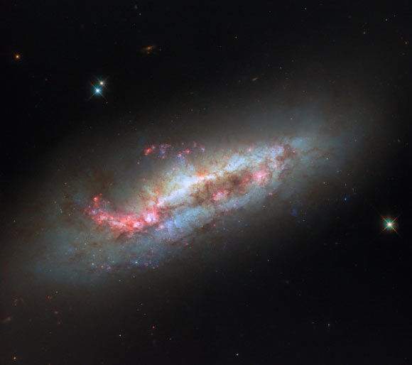 This Hubble image shows NGC 1511, a barred spiral galaxy some 50 million light-years away in the constellation of Hydrus. Image credit: NASA / ESA / Hubble / D. Thilker.