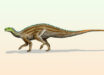Life restoration of Tenontosaurus tilletti. Image credit: Nobu Tamura, http://spinops.blogspot.com.