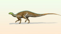 Life restoration of Tenontosaurus tilletti. Image credit: Nobu Tamura, http://spinops.blogspot.com.