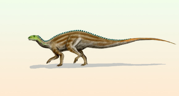 Life restoration of Tenontosaurus tilletti. Image credit: Nobu Tamura, http://spinops.blogspot.com.