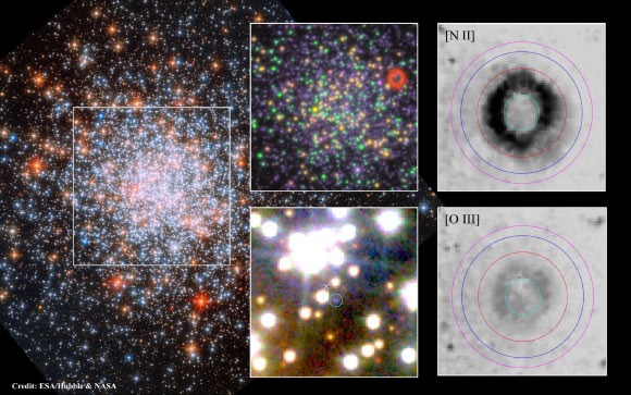 The image shows NGC 1866 superimposed with a false color image from the MUSE data cube, where the ionized shell of the planetary nebula Ka LMC 1 is seen as a red ring. The grayscale insets illustrate the different size of the ionized shells of singly ionized nitrogen [N II] and doubly ionized oxygen [O III]. The magnified Hubble image near the center of the ring reveals the presence of a pale blue star -- most probably the hot central star of Ka LMC 1. Image credit: AIP / M.M. Roth / NASA / ESA / Hubble.