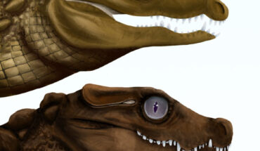 Mekosuchine crocodiles. Image credit: Armin Reindl / CC BY-SA 4.0.