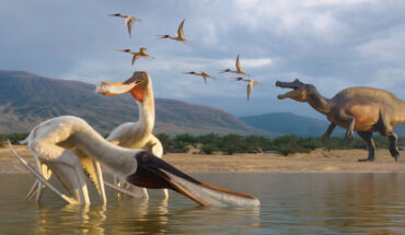 Artistic reconstruction of the filter-feeding pterosaur Barikibu waridza in the Early Cretaceous Romualdo Formation environment; the spinosaurid dinosaur in the background represents the putative predator that hunted Barikibu waridza. Image credit: Julio Lacerda.