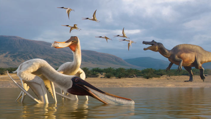 New Filter-Feeding Pterosaur Species Discovered in Brazil