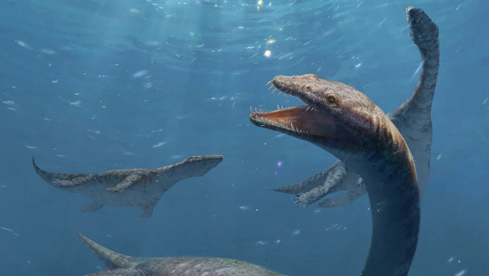 Early Long-Necked Marine Reptile Unearthed in China
