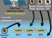 Physcomitrium patens spores survive simulated space conditions with high resilience. Image credit: Maeng et al., doi: 10.1016/j.isci.2025.113827.