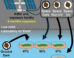Physcomitrium patens spores survive simulated space conditions with high resilience. Image credit: Maeng et al., doi: 10.1016/j.isci.2025.113827.