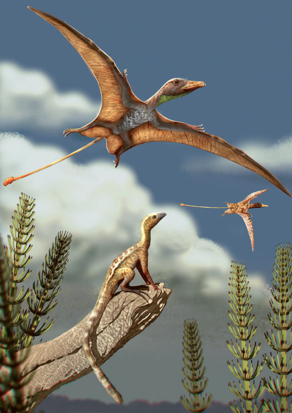 Reconstruction of a Late Triassic landscape, approximately 215 million years ago; a lagerpetid, a close relative of pterosaurs, is perched on a rock, observing pterosaurs flying overhead. Image credit: Matheus Fernandes.