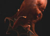 The vampire squid (Vampyroteuthis sp.) is one of the most enigmatic animals of the deep sea. Image credit: Steven Haddock / MBARI.