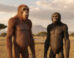 Australopithecus deyiremeda and Australopithecus afarensis. Image credit: Gemini AI.