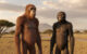 Australopithecus deyiremeda and Australopithecus afarensis. Image credit: Gemini AI.