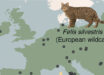 The genomes of ancient cats from archaeological sites across Europe and Anatolia (circles in the map) revealed that domestic cats were introduced to Europe from North Africa starting at 2,000 years ago, several millennia after the onset of the Neolithic in Europe; African wildcats in Sardinia originate from a distinct wildcat population in Northwest Africa. Image credit: De Martino et al., doi: 10.1126/science.adt2642.
