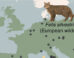 The genomes of ancient cats from archaeological sites across Europe and Anatolia (circles in the map) revealed that domestic cats were introduced to Europe from North Africa starting at 2,000 years ago, several millennia after the onset of the Neolithic in Europe; African wildcats in Sardinia originate from a distinct wildcat population in Northwest Africa. Image credit: De Martino et al., doi: 10.1126/science.adt2642.