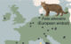 The genomes of ancient cats from archaeological sites across Europe and Anatolia (circles in the map) revealed that domestic cats were introduced to Europe from North Africa starting at 2,000 years ago, several millennia after the onset of the Neolithic in Europe; African wildcats in Sardinia originate from a distinct wildcat population in Northwest Africa. Image credit: De Martino et al., doi: 10.1126/science.adt2642.