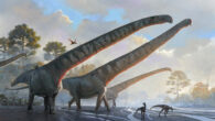 Life reconstruction of another Mamenchisaurus species, Mamenchisaurus sinocanadorum. Image credit: Júlia d’Oliveira.