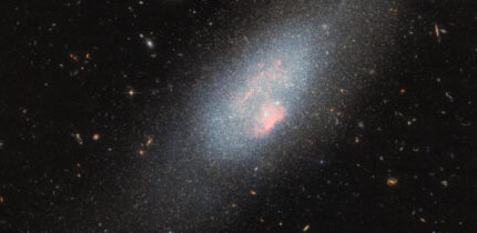 This Hubble image shows the blue compact dwarf galaxy Markarian 178. Image credit: NASA / ESA / Hubble / F. Annibali / S. Hong.