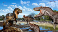 A Late Cretaceous face-off between an adult Nanotyrannus lancensis (left) and two juvenile Tyrannosaurus rex, with a sub-adult Tyrannosaurus rex watching from a distance. Image credit: Jorge Gonzalez.