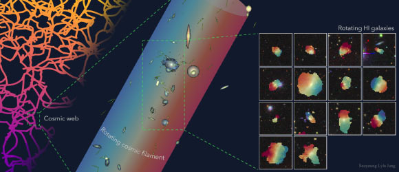 A figure illustrating the rotation of neutral hydrogen (right) in galaxies residing in an extended filament (middle), where the galaxies exhibit a coherent bulk rotational motion tracing the large-scale cosmic web (left). Image credit: Lyla Jung.