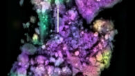Electron microscopy of a particle from the sample from Bennu. Image credit: Sandford et al., doi: 10.1038/s41550-025-02694-5.