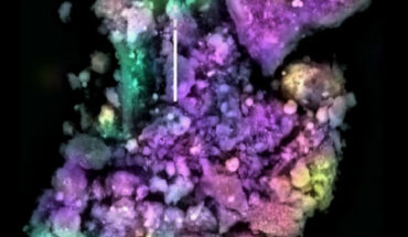 Electron microscopy of a particle from the sample from Bennu. Image credit: Sandford et al., doi: 10.1038/s41550-025-02694-5.