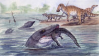 An artist’s reconstruction of the Hell Creek mosasaur. Image credit: Christopher DiPiazza.