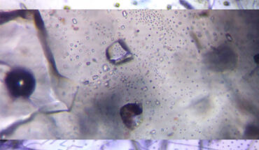 Example photographs of primary, mixed, and secondary halite inclusion assemblages. Image credit: Park et al., doi: 10.1073/pnas.2513030122.