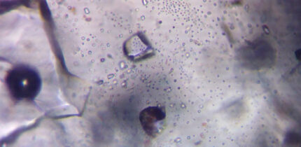 Example photographs of primary, mixed, and secondary halite inclusion assemblages. Image credit: Park et al., doi: 10.1073/pnas.2513030122.
