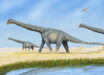 Some sauropod dinosaurs, such as Alamosaurus sanjuanensis, formed herds segregated by age. Image credit: DiBgd.
