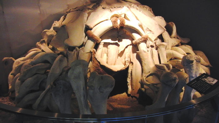 18,000-Year-Old Circular Dwellings Made of Mammoth Bones Unearthed in Ukraine