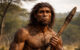 Reconstruction of Homo erectus.