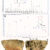 The 60,000-year-old backed microlith from Umhlatuzana Rock Shelter in KwaZulu-Natal, South Africa: (A) buphanidrine and (B) epibuphanisine detected in a sample from the microlith; (C) the microlith showing the reddish poisonous adhesive residue still adhering to the dorsal backed portion of the tool. Image credit: Isaksson et al., doi: 10.1126/sciadv.adz3281.