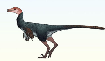 Life reconstruction of Xenovenator espinosai. Image credit: Connor Ashbridge / CC BY 4.0.