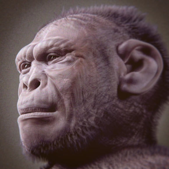 Facial reconstruction of Homo habilis. Image credit: Cicero Moraes.