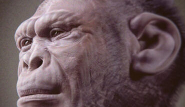 Facial reconstruction of Homo habilis. Image credit: Cicero Moraes.