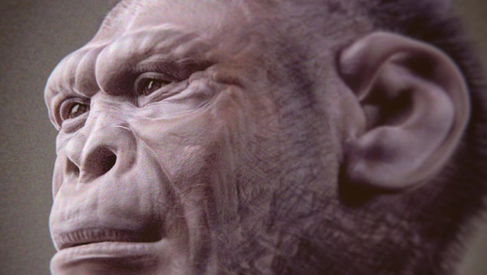 2-Million-Year-Old Skeleton Offers Clearest Look Yet at Homo habilis | Sci.News