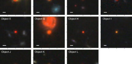 Little red dots are young supermassive black holes in dense ionized cocoons. Image credit: NASA / ESA / CSA / Webb / Rusakov et al., doi: 10.1038/s41586-025-09900-4.