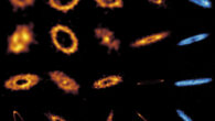 This ARKS gallery of faint debris disks reveals details about their shape: belts with multiple rings, wide smooth halos, sharp edges, and unexpected arcs and clumps, which hint at the presence of planets shaping these disks; and chemical make-up: the amber colors highlight the location and abundance of the dust in the 24 disks surveyed, while the blue their carbon monoxide gas location and abundance in the six gas-rich disks. Image credit: Sebastian Marino / Sorcha Mac Manamon / ARKS Collaboration.
