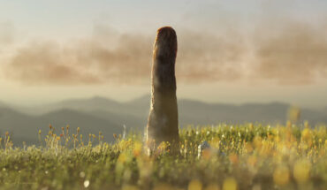 Prototaxites was the largest organism on land 410 million years ago. Image credit: Matt Humpage.