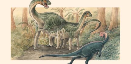 Life reconstruction of Yeneen houssayi. Image credit: Gabriel Lío.