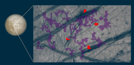 In this composite image, red pixels mark locations on Europa’s surface where ammonia-bearing compounds were detected; purple indicates no such detection. Image credit: NASA / JPL-Caltech.