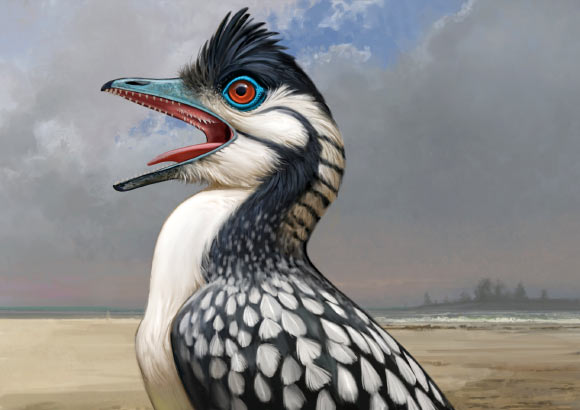 A life reconstruction of Archaeopteryx, including the oral papillae on the roof of its mouth, a bill-tip organ at the end of its beak, and a flexible-yet-sturdy tongue made possible by an extra tongue bone. Image credit: Ville Sinkkonen.