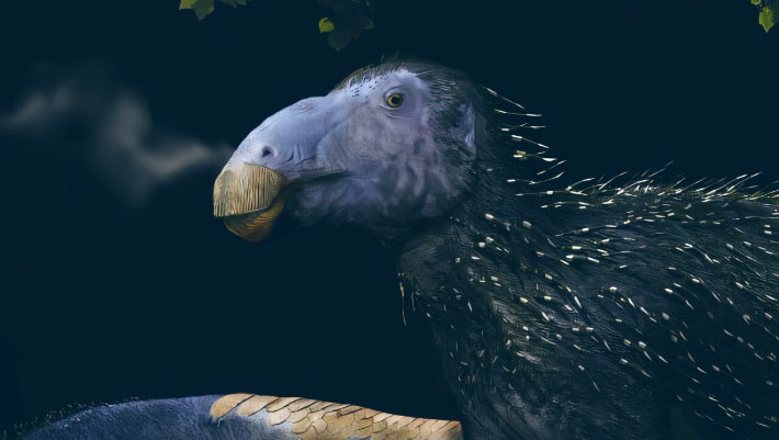 Paleontologists Unearth New Dinosaur Species with Never-Before-Seen Skin Structures | Sci.News